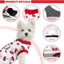 Dog Surgery Recovery Suit, Abdominal Surgical Suit for Male Female Dog Post Spay Neuter, Breathable Pet Onesie E-Collar & Cone Alternative, Surgery Shirt to Prevent Licking, Small