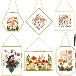 BABUFINE 6PCS Pressed Flower Frames with Tweezers, Wall Hanging Double Glass Picture Frames with Chain for Dried Flowers Plants Wall Decor,Only Frame (Gold-6PCS)
