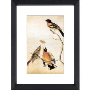 3x4 Picture Frame, Black Metal Photo Frames with HD Glass, Fits 2x3 with Mat or 3 x 4 without Mat, Display for Wall and Table, 1 Pack