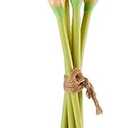 Elements Mikasa Artificial Latex Calla Lily Bouquet, Lifelike Look and Feel, Set of 5 5x3x18 Inch