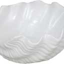 DDR Clam Shell Shaped White Serving Bowl 7 Inches Ceramic
