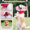 Soft Dog Cone Collar After Surgery: Adjustable Long Foldable Comfy Recovery Shame Elizabethan Stop Licking Small Medium Large Dogs (Red, XL)