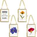 JUXYES Set of 4 Mini Wall Hanging Brass Frames for Pressed Flowers, Double Glass Hanging Picture Artwork Display Frame, Vertical Gold Floater Style Gallery Wall Frame for Photo Picture Poster etc, 3x2 Inches