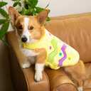 Midlee Easter Egg Dog Costume, Soft Plush Fabric (Yellow, Small)