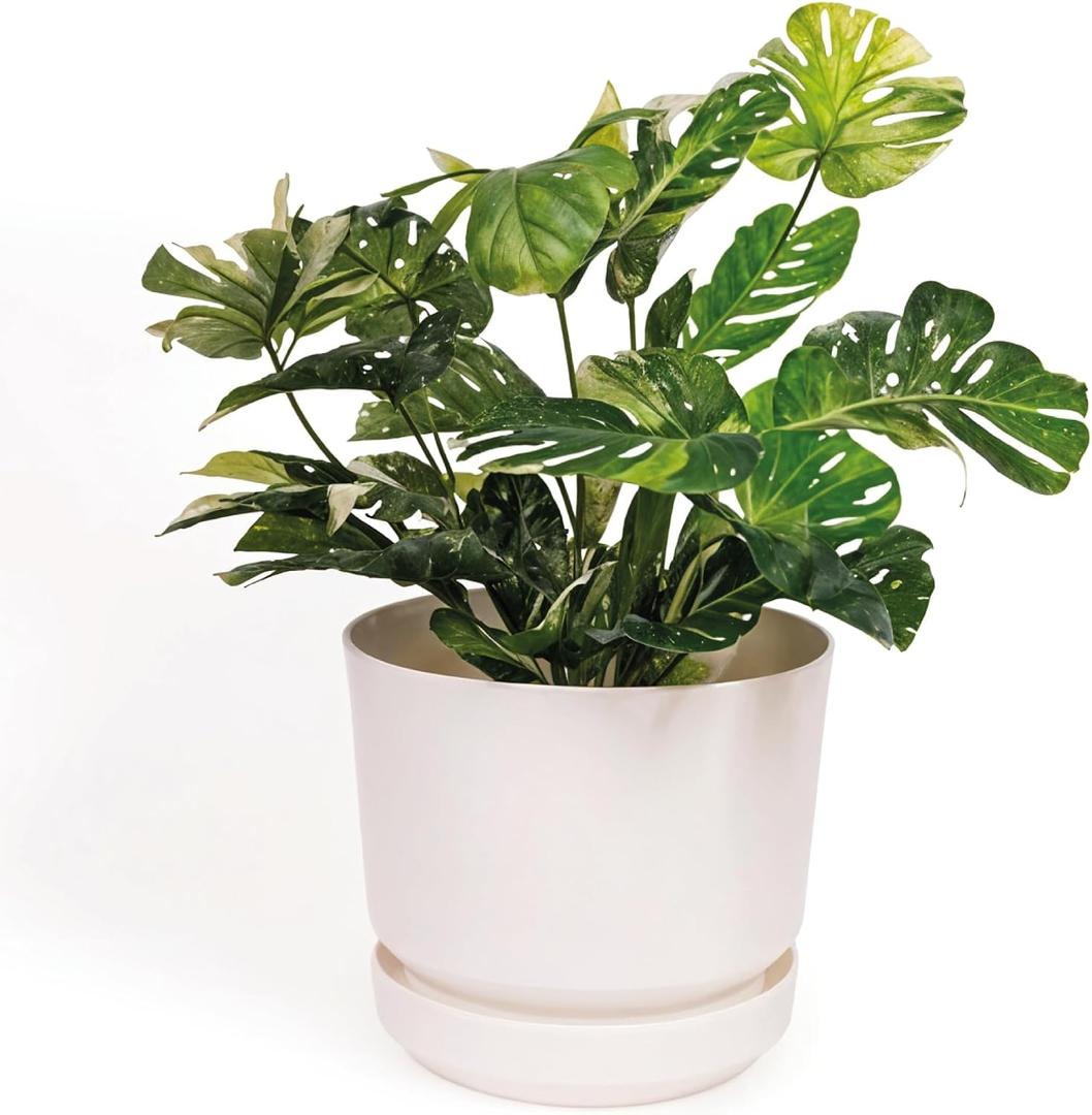 Elly Dcor 10 inch Plastic Cylinder Planter Pot with Self-Watering Saucer and Drainage Hole,Lightweight & Extremely Durable, 10"x 10", White