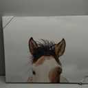 JLA ITS IN THE EYES CANVAS ART 20X22