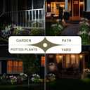 Solar Garden Lights Outdoor: Waterproof 2-Pack DIY Decorative Firework Lights with 2 Modes for Yard Patio Pathway Outside Fairy Decor - Gifts for Women Mom Mothers Day Multicolor
