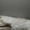 Latepis White Faux Fur Sheepskin Rug 4x6 for Living Room, Fuzzy Rugs Fluffy Washable Rug for Bedroom, Playroom, Luxury Room Decor, Rectangle