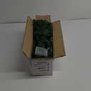 Small Christmas Tree 3FT Artificial Desktop Xmas Tree for Holiday Decor 160 Branch Tips,Green