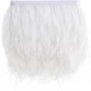 Natural Ostrich Feather Fringe Trim - Feathers Sewing Crafts Decor for Dress Costume 4-6 inches 2 Yards Erikord(White)