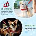 Slow Ton No Pull XSmall Dog Harness and Leash Set, Puppy Soft Vest Harness Neck & Chest Adjustable, Reflective Lightweight Harness & Anti-Twist Pet Lead Combo for XSmall  Dogs (R-Front Clip, XS)