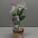 Rechargeable Dancing Talking Cactus Toy Mimics Back, Singing Mimicking Cactus Baby Toy That Talks Back, Educational Baby Toys 18 months+ w/ 51 English Songs, Valentines Day Gifts for Kids, Toddlers (Green)