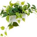 MyGift Vibrant Lifelike Artificial Plant Pothos Leafy Vine Greenery in White Concrete Rectangular Planter Box
