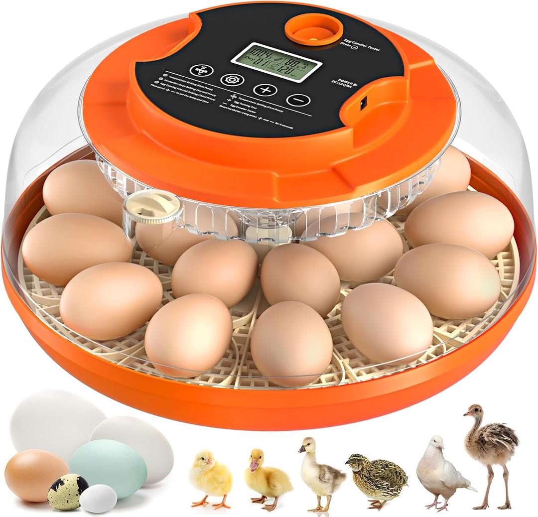 18 Egg Incubator with Automatic Egg Turning and Humidity Control, Incubators for Hatching Eggs, Chicken, Ducks, Goose, Pigeon, Quail, Parrot Incubator for Farm, Lab, Science Classroom, Home (Orange)
