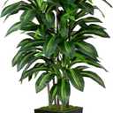 Artificial Dracaena Tree 5FT - Fake Tree with Black Tall Planter - Faux Yucca Tall Fake Floor Plant in Pot - Artificial Plant for Home Office Living Room Decor Indoor