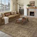 WondRg 6x9 Brown Washable Vintage Area Rug for Living Room Bedroom Soft Tranditional Non Slip Large Throw Rug Lightweight Floral Low Pile Distressed Carpet Office Playroom Dining Laundry Room