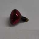 250 Watt - R40 Light Bulb - Ruby Red - Infrared Heat Lamp - 120 Volt - 5,000 Life Hours - Halco 104044