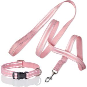 2 x 2-Pack MAX - The Hardy Reflective Dog Collar & 6ft. Leash for All Pet Breeds, Pink, X-Small