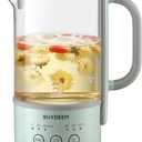 BUYDEEM K313 Travel Electric Kettle, Mini Healthy-Care Beverage Kettle, Tea Maker with Heat Resistant DURAN Glass & Durable Pro 18/10 Pro Stainless Steel, 0.6L, Cozy Greenish