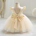 IDOPIP Flower Girl Bowknot Tutu Dress for Kids Baby Princess Wedding Bridesmaid Birthday Party Pageant Baptism Dresses 6M-10T (Beige, S)