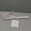 Money Tree, Birch Tree with Lights, 2FT 24LED Tree Holder with 12 Clips, Display Tree for Home, Christmas, Photo, Picture, Lottery Ticket, Wedding, Birthday, Battery/USB Powered, 6H/18H Timer