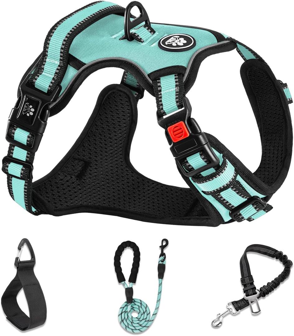 NESTROAD No Pull Dog Harness,Adjustable Oxford Dog Vest Harness with Leash, Reflective No-Choke Pet Harness with Easy Control Soft Handle for Small Dogs(Small, Turquoise) (Sneck 11-15" chest 15-21")