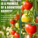 joyhalo 3 Pack Tomato Cage for Garden, 47 Inch Heavy-Duty Tomato Trellis, Height Adjustable Garden Trellis for Climbing Plants Vegetables Flowers Cucumber Peony
