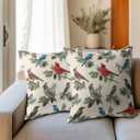 Winter Pillow Covers 18x18 Inch Red and Blue Birds Decorative Throw Pillows Set of 2 Christmas Pinecone Pillow Cases for Sofa Couch Home Xmas Decor