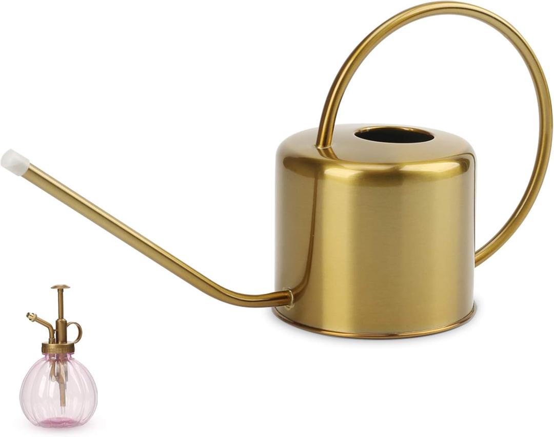 Remiawy Watering Can Indoor Outdoor Stainless Steel Watering Cans for House Plants Long Spout Water Can for Succulent Bonsai Garden Flower (40oz/1300ml)