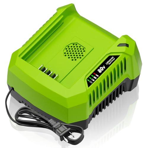GCH8040 4.0A Rapid Charger Replacement for Greenworks Pro 80V Battery Charger 2958602AZ 2964602 GCH8020 2936802, Compatible with BAB740 BAB741 BAB742 BAB743 LB60200 LB8080 2981102 GBA80200 GBA80250