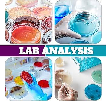 Ashmacdo 60 Pcs Plastic Petri Dishes with Lids, 90 x 15 mm Deep Sterile Petri Dishes with 60Pcs Biohazard Stickers for School Halloween Science Experiment Biological Party Supplies