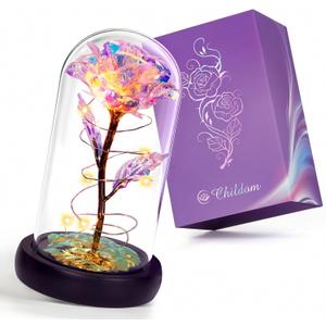 Childom Valentines Gifts for Her,Birthday Gifts for Women,Valentines Day Flowers Gifts for Mom,Women,Her,Wife,Grandma,Light Up Rose in Glass Dome,Colorful Rainbow Mothers Day Flowers for Delivery