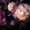 MFWFM Dark Floral Wallpaper Peony Flowers Wall Mural Wallpaper for Girls Bedroom (Not Peel n' Stick), Size: 141" x 96"