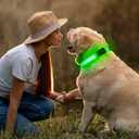 Light Up Dog Collar for Night Walking Flashing, LED Dog Collar Light Rechargeable Reflective Dog Collar Water-Resistant Adjustable Size Dog Collars for Medium Dogs (Green)