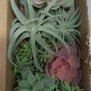 Der Rose 2 Pack Fake Plants Succulents Plants Artificial Cactus Plants in Wood Pots with Pink Flowers for Farmhouse Bathroom Decor
