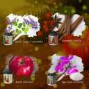 4 Pack Christmas Candle Gifts Set for Women Funny Vintage Xmas Holiday Natural Soy Wax Scented Candles Apple Harvest, Sea Salt, Cinnamon Vanilla and Orchid, White Sage and Lavender