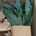 Artificial Ferns 25.6" Dia. - Faux Ferns for Outdoor Planter & Hanging - Fake Plant Shrubs for Home Garden Porch Farmhouse Decor (49 Fronds)