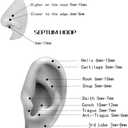 ORANGELOVE Hypoallergenic Nose Rings 20G 18G 16G 14G 12G 10G 8G 316l Surgical Steel Septum Jewelry Hinged Segment Ring Body Piercing Nose Hoop Lip Rings Nose Helix Cartilage Rook Earrings
