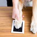 Pearhead 4-Pack Clean-Touch Ink Pad Kit, Mess-Free Inkless Hand and Footprint Kit, Baby Foot Printing Kit, Cat and Dog Paw Print Kit, Suitable for Babies and Pets