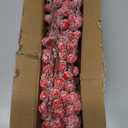 24 Pcs Artificial Holly Berry Stems Christmas Frosted Berry Picks Sprigs Snowy Red Berries Frosted Cranberry Picks for Christmas Tree Fillers Decoration DIY Crafts Home Party Winter Decor, 8.5inch