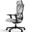 ProtoArc Ergonomic Office Chair, EC100 Big and Tall Mesh Computer Desk Chair with 30% Thicker Saddle Shaped Spring Cushion, Lumbar Support, Adjustable Headrest, Armrest for Home and Office - Gray