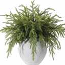 Giegxin 12 Pcs 19 Inch Real Touch Christmas Cedar Stem Modern Natural Bendable Artificial Greenery Norfolk Pine Branches Faux Fake Greenery Picks for Xmas Vase DIY Crafts Garland Wreath Decoration