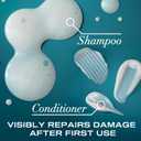 OGX Renewing + Argan Oil of Morocco Shampoo & Conditioner Set, Helps Strengthen & Repair Dry, Damaged Hair, Paraben-Free, Sulfate-Free Surfactants, 25.4 fl. Oz (Pack of 2)