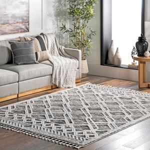 nuLOOM 2x6 Ansley Moroccan Tassel Area Rug, Grey, High-Low Textured Bohemian Design, Plush High Pile, Stain Resistant, For Bedroom, Living Room, Hallway, Entryway