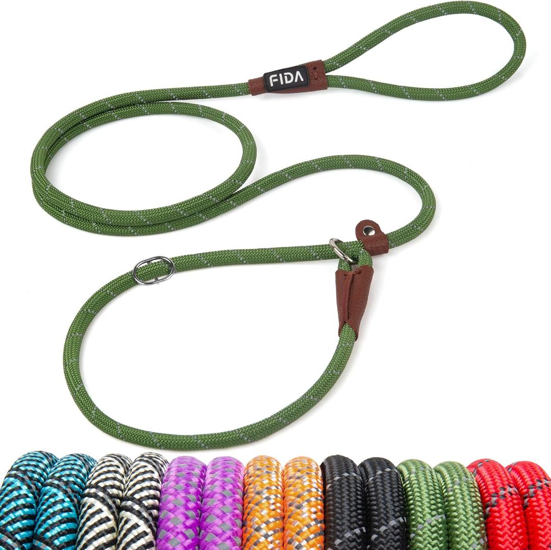 Fida Durable Slip Lead Dog Leash, 6 FT x 3/8" Heavy Duty Dog Loop Leash, Comfortable Strong Rope Slip Leash for Small Dogs and Puppies, No Pull Pet Training Leash with Highly Reflective(3/8", Green) (Small(3/8"-6ft))