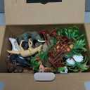 EnAuRoL 31 Pcs Safari Animals Figures Including 24 Realistic Jungle Playset Toys Zoo Animals for Toddlers 3+ Years Old Ideal Gift for Boys and Girls