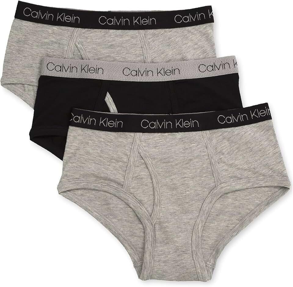 Calvin Klein Kids Boys' Modern Cotton Brief Underwear 3-PackXL