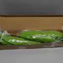 ucky Artificial Greenery Stems Dracaena Branches for Vase Faux Greenery Fake Plants Artificial Dracaena Leaves for Outdoor Home Garden Porch Decor (2PCS Bird's Nest Fern, 20 Leaves)