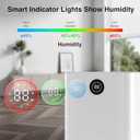 ZAFRO 1200 Sq.Ft Dehumidifier for Home & Basement with Drain Hose, Ultra Quiet 40dB, Energy Saving 21 Pints Dehumidifier with Auto & Manual Drainage, Auto Defrost, 3 Modes, 24H Timer