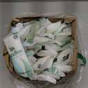 Timgle 48Pcs Moist Towelettes Individually Wrapped Scented Disposable Face Towels Essential Oil Infused Moist Terry Cotton Towel for Use Hot or Cold Travel Body Spa(Mint, Eucalyptus Leaves